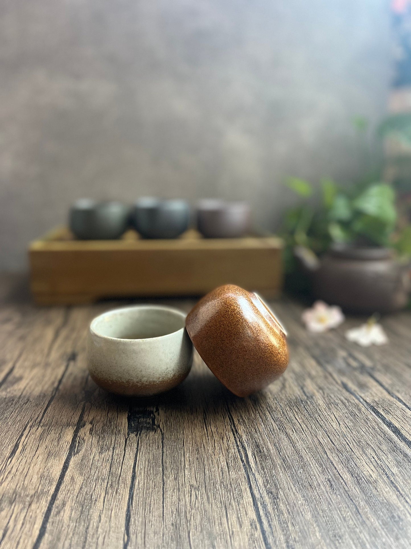 Handmade Japanese style ceramic cups in earthy colors displayed with plants.