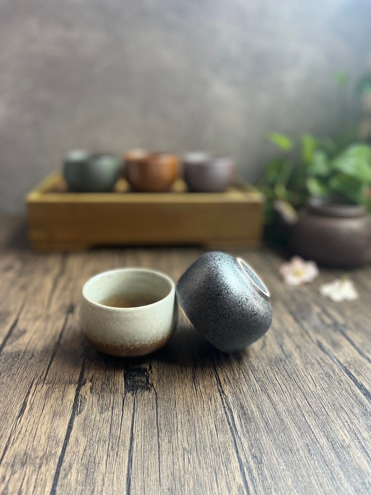 Handmade Japanese style ceramic cups in green and white tone displayed with plants, displayed with the remaining cups in the background on a wooden tray